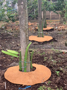 Disques de paillis de coco Blue Lotus Farm pour la rétention de l'humidité du sol, couverture végétale, durée 2-3 ans, vente en gros Vietnam - Product Image 6