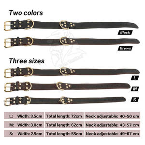 Correa y Collar Resistentes para Perro con Costuras Reforzadas y Uso Confiable, Collar y Correa Cómodos para Perro con Diseño Ligero - Product Image 6