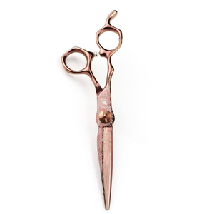 Ciseaux de coiffeur couleur or titane pour professionnels et salons, avec repose-doigt fixe - Product Image 3