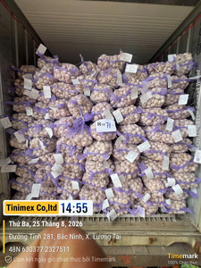 Ajo Fresco Natural de Vietnam, Aglio Fresco, Bulbos Enteros Premium, Ajo Blanco para Suministro al por Mayor - Product Image 4