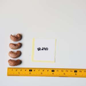 Meilleur rapport qualité-prix, noix de cajou grillées non décortiquées Dong Phu du Vietnam, prêtes à l'emploi - W240 en boîte cadeau en papier premium de 500g - Product Image 2