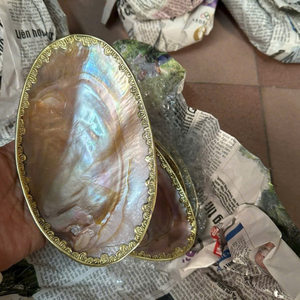 Édition collector : Plat en coquille naturelle de 30 cm avec finition haut de gamme or et argent et éclat arc-en-ciel spectaculaire - Product Image 3