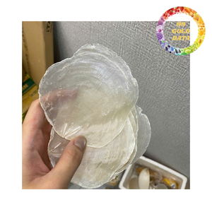 Panneaux de coquillages Capiz translucides pour la fabrication d'abat-jour, fournitures artisanales décoratives en coquillages naturels - Product Image 3