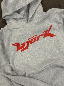 เสื้อฮู้ดดี้ผู้ชายผ้าฝ้ายซิป ขายดี ออกแบบเองได้ คุณภาพดีที่สุด แบบยูนิเซ็กซ์ มีซับใน พิมพ์ลาย โลโก้ด้านหน้า สำหรับฤดูหนาว - Product Image 2