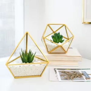 Elegant <b>Frame</b> Glass Metal Terrarium Planter Stylish Indoor <b>Plant</b> Holder Geometric Home Decor - Product Image 1
