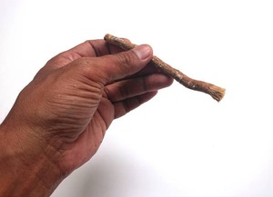 Brosse à dents Miswak Premium Freshroots, bâtonnets naturels à base de plantes, blanchiment des dents, renforcement des gencives, saveur naturelle, écologique - Product Image 2