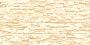Azulejos Premium Choice de Calidad Superior Asia Tiles Elevation de 300x600mm para Paredes, Ideales para la Salud. - Product Image 4