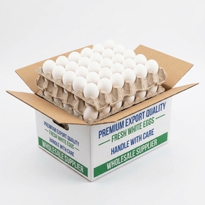 Œufs de poulet de première qualité, œufs de volaille frais pour supermarchés, épiceries et distribution en gros à l'exportation - Product Image 3