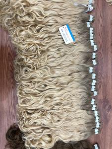 Super Promotion : Extensions de Cheveux Humains Vietnamiens 100% Naturels en Gros, Super Brillants, Haute Qualité, Sans Chute, Sans Nœuds, Prix Usine, Non Traités - Product Image 6