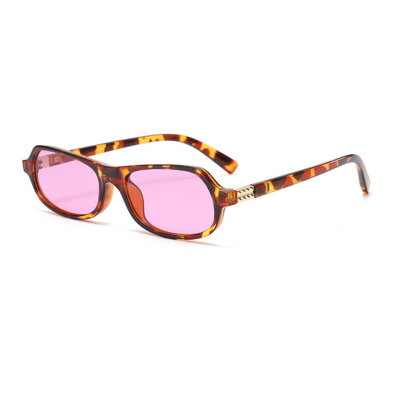 C4: Tortoise/ Purple