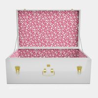 Coffre de rangement pliable en métal, élégant bleu, pour la maison, les loisirs créatifs, les jouets, les accessoires de mode, les bijoux et les chaussures