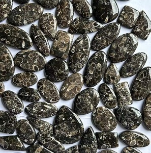 Natural Turritella <b>Fossil</b> Mix Shape Loose Gemstones 5-10g 4-7mm ARHAN GEMS for Jewelry Making - Product Image 3