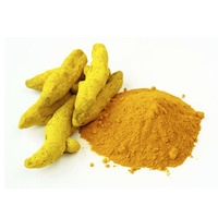 Épices jaunes simples de doigt de curcuma indien pur de haute qualité pour le thé Masala et les produits de santé séchés de source d'agriculture