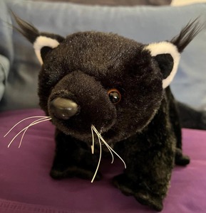 PP Cotton Filling Funny <b>Plush</b> Toy Kawaii Bear <b>Cat</b> <b>Plush</b> Toy Turtle Fox Super Soft <b>Plush</b> Toy - Product Image 2