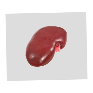 Precio con descuento: Riñones de cerdo congelados, suministro para envío rápido - Product Image 1