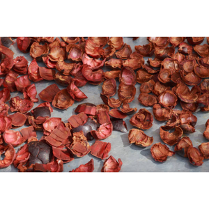 มังคุดสด | ผลไม้ออร์แกนิก100% จากเวียดนาม | ราคาดีที่สุดและคุณภาพสูง - Product Image 4