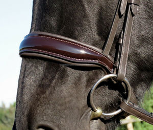 Bride en cuir véritable de qualité supérieure pour cheval disponible en plusieurs couleurs et plusieurs tailles - Product Image 2