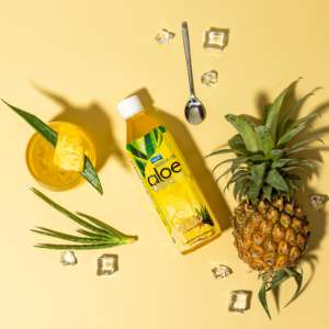 Bebida de Aloe Vera con Pulpa de Marca Privada 350ml 500ml Mango Piña Coco Sandía Proveedor de Bebidas OEM - Product Image 5