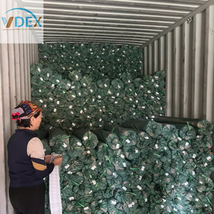 Palos de escoba de madera recubiertos de PVC, producto de exportación de Vietnam, empaquetados en bolsas de 50 unidades. - Product Image 5