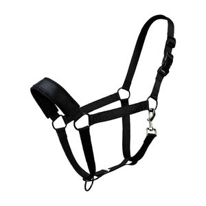 Black Nylon Horse <b>Halter</b> with Brass Hardware Adjustable Fit Padded Noseband Comfortable Soft Design - Product Image 3