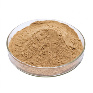Wild-Cultivated 100% Pure Ashwagandha Root Powder Food Grade Organic Ashwagandha Powder Available in Customized Packaging - Product Image 5
