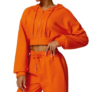 20258 Modern Loose Long Sleeve Nylon Sweatshirt Comfortable Workout Hoodie with Zipper for <b>Winter</b> Sports <b>Tops</b> - Product Image 3