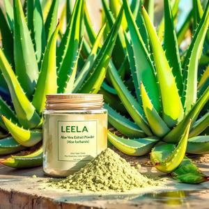 Extracto de Aloe Vera en Polvo (Aloe barbadensis) Suministro del Fabricante – Polvo de Aloe Vera 100% Puro a un Precio Razonable - Product Image 1