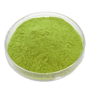 Hot Sale Factory Direct Supply Spinach Extract