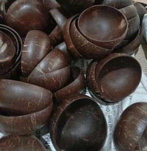 Cuencos de cáscara de coco desechables ecológicos de alta calidad con patrón de logotipo personalizado pulido para el mercado de Alemania - Product Image 1