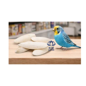 HOT Green Round Cuttlefish Bone Eco-Friendly <b>Bird</b> Toys for <b>Bird</b> <b>Cage</b> Pet <b>Accessories</b> Wholesale Export Market - Product Image 1