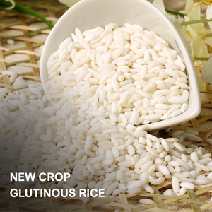 Fournisseur de riz glutineux vietnamien de qualité supérieure, riz long grain de haute qualité, texture ferme, en vrac, 3% de brisures, prêt à l'exportation, OEM/ODM - Product Image 1