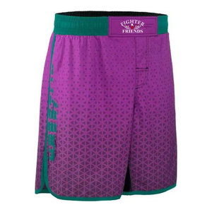Shorts MMA légers pour hommes, séchage rapide, entraînement, combat, logo personnalisé, vêtements de sport, fabricant OEM - Product Image 2