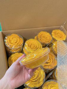 Mango Seco Tradicional de Alta Calidad, Dulce y Ácido, en Paquete a Granel de Vietnam - Product Image 5