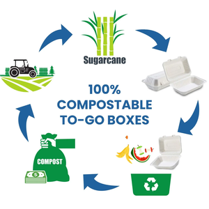 Contenants alimentaires jetables biodégradables en bagasse de canne à sucre, résistants et imperméables, pour nouilles à emporter - Product Image 4