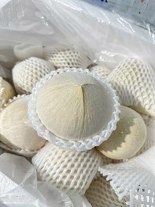 Coco entero pulido de Vietnam, Coco fresco pelado, Cocos proaspat lustruit (WA +84914319488) - Product Image 2