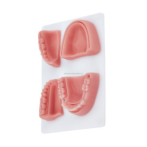 Modelo de Almohadilla de Sutura Dental de Silicona de Alta Calidad, Almohadilla de Entrenamiento Anatómico 3D para Estudiantes de Odontología, Práctica de Educación Médica - Product Image 4