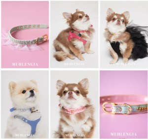Lindo Collar de Encaje Rosa para Perro con Decoración de Joyas para Razas Pequeñas - Product Image 6