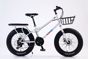 Bicicleta Híbrida con Llantas Gruesas de 20 Pulgadas, Cuadro de Acero, Frenos de Disco, con Canasta Delantera y Asiento Trasero para Desplazamientos Diarios - Product Image 4