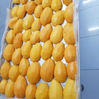 Goede Prijs Iqf Bevroren Mango Puree Mango Pulp Verpakking 1Kg 5Kg 10Kg Hoge Kwaliteit Herkomst Vietnam-Wa 0084 989 322 607