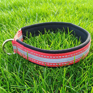 Collar Navia Clásico de Lujo, Simple, Ajustable Automáticamente, Reflectante, de Liberación Rápida, Duradero, de Nailon Suave, con Cintas, para Perros y Gatos, Primavera/Verano - Product Image 2