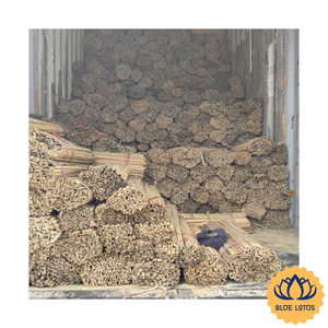 [VENTA EXITOSA] |   Bambú Amarillo Seco de Media Corte, Suministro a Granel para la Construcción de Marcos de Cometas en Pakistán, Procedente de Vietnam - Product Image 1