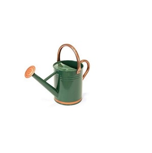 Arrosoir décoratif rustique en métal pour plantes d'intérieur, pot à eau de jardin avec long bec verseur et poignée - Product Image 2