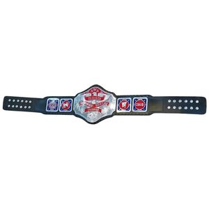 Ceinture de championnat de lutte de la NWA Television Heavyweight avec logos ABC, CBS et design rouge et argenté pour les fans - Product Image 1