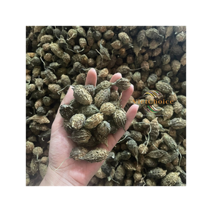 Melón Amargo Silvestre Seco Natural a Granel con 8 Meses de Vida Útil, Hierba para Beber de Vietchoice Vietnam - Product Image 1