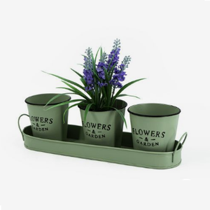 Fournitures de jardin : Pots en zinc imprimés avec autocollants émaillés pour fleurs de jardin, pour la maison, les hôtels et les restaurants - Product Image 5