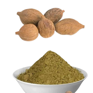 Poudre de fruit de Baheda biologique la plus vendue, poudre de fruit de Baheda naturelle à base de plantes, fabricant pour compléments ayurvédiques - Product Image 5