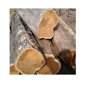 Troncos de Teca Africana a Precios Económicos, Madera Dura Redonda de la Mejor Calidad, 32m de Diámetro, Suministro a Granel desde Tanzania - Product Image 1