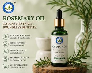 Huile essentielle de romarin certifiée ISO 1 KG, pure et naturelle, Rosmarinus Officinalis, huile végétale pour les soins de la peau et la croissance des cheveux - Origine Inde - Product Image 2