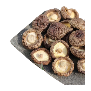 Hongos Shiitake Secos Blanqueados de Alta Calidad, Proteína Vegetal Natural, Blue Lotus Brown Wild, 12 Meses de Duración - Product Image 4