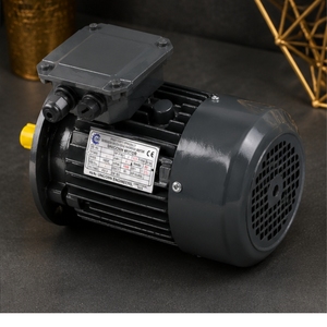 Moteur Unicorn 1 kW monophasé à induction, cadre 130 mm, montage sur pied, 208-240 V, 1500 tr/min, IE2, moteur entièrement fermé pour pompes - Product Image 3